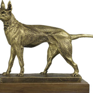 trofeo perro exhibicion resina