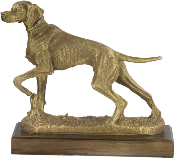 trofeo perro exhibicion resina