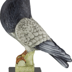 trofeo paloma colombicultura resina