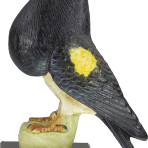 trofeo paloma colombicultura resina